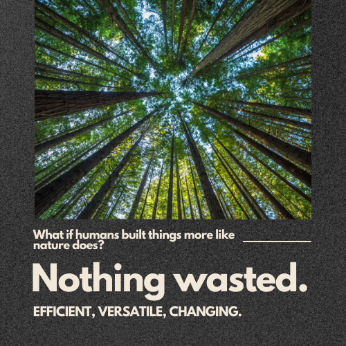 Circular idea trees with nothing wasted written below